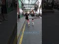 Непотеряшки на поводке! Нячанг
