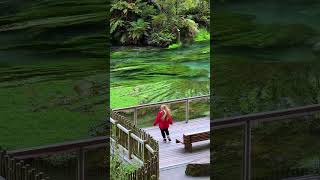 We Found The Clearest Water In The World New Zealand