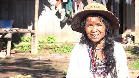 TRANH THỦ PHƠI NHỮNG HẠT LÚA ĐỒNG QUÊ