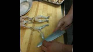 How To Butcher Frog Legs.MOV