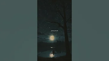 عدى العمر رضا 