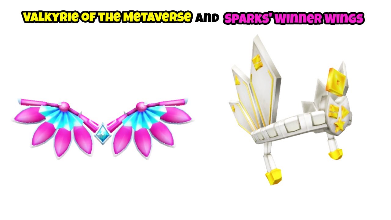 Valkyrie of the Metaverse