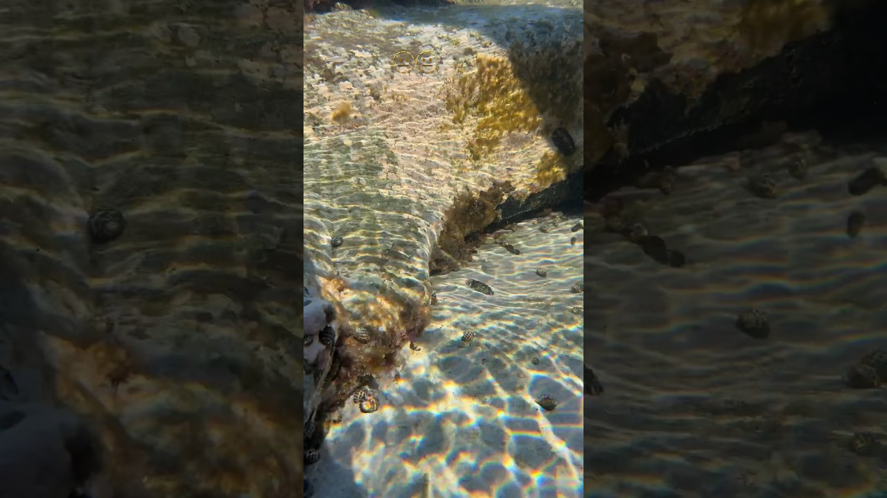 I dropped my phone into water. 🥶🥶.         