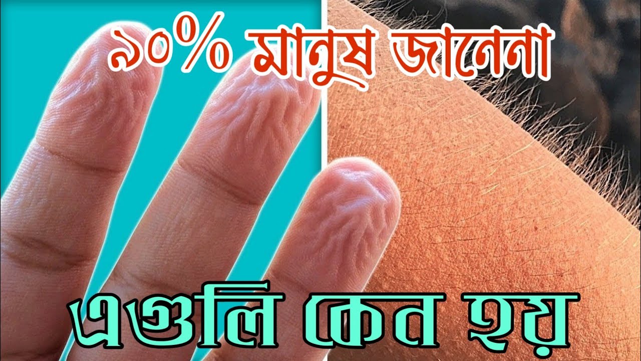 shivering timbers 90% মানুষ এগুলি জানে না- 90% OF PEOPLE DON'T KNOW ABOUT THEIR BODY SUPERPOWERS