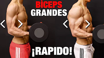 ¿20 repeticiones para bíceps es demasiado?