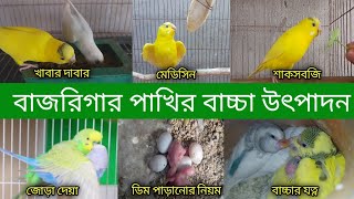 বজরগর পখর বচচ উৎপদন ও বচচর যতন Budgiri Birds Baby Care Grow Life