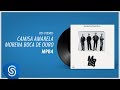 MPB4 - Camisa Amarela/ Morena Boca de Ouro (Álbum &quot;Sambas da Minha Terra&quot;) [Áudio Oficial]