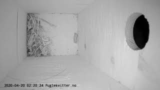 Live Camera Axis Q3517
