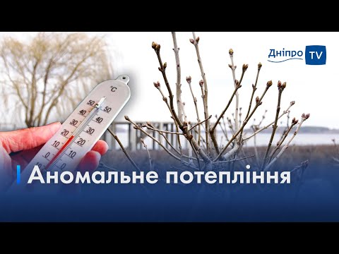 🌡️ «12 лютого очікуємо до +15 градусів», — метеорологи обіцяють суттєве потепління