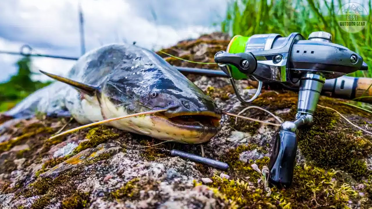 Best Catfish Spinning Reels In 2023 - Top 10 Catfish Spinning Reel Review 