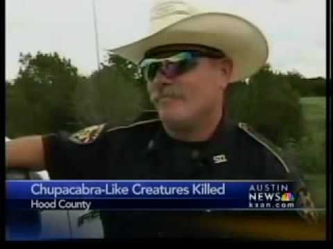 Video: In Revda, The Chupacabra Killed Fifty Rabbits. - Alternative View