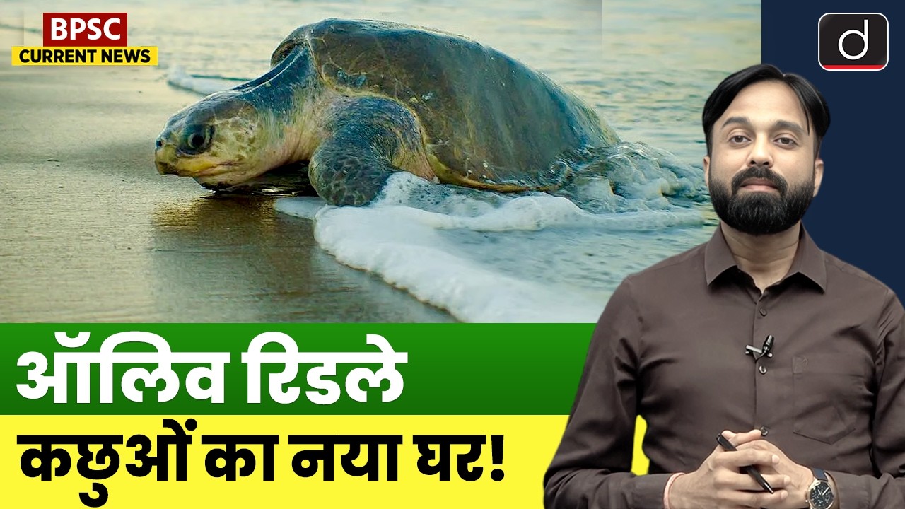 Olive Ridley Turtle Nesting | Blue Flag Beach Puri | Current News | Drishti BPSC & JPSC