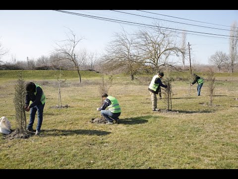 Video: Uşaqlar haqqında böyüklər. 2-ci hissə