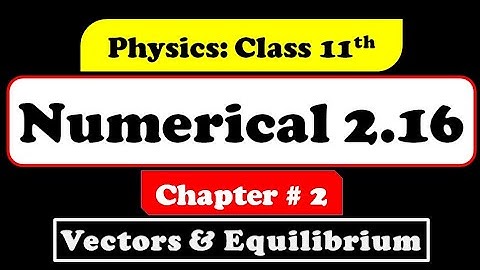 Numerical 2.16 Class 11 Physics (Vectors & Equilibrium)