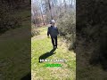 Close Call! Tree Falling Garden Safe!