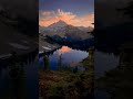 dream of life #happyes video #love video #beautiful video #this is moat video in my life #viral #🌹🌹