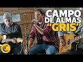 Campo de Almas - Gris