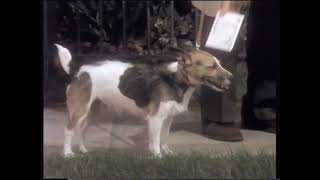 Old UK TV Advert TSB Cashpoints