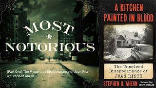 Part One The Mysterious Disappearance Of Joan Risch W Stephen Ahern