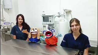 🚨 Animal City Clínica Veterinaria necesita de tu ayuda ⏬