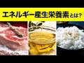 人が生きていくために必要な栄養素 エネルギー産生栄養素とは？【ビーレジェンド プロテイン】