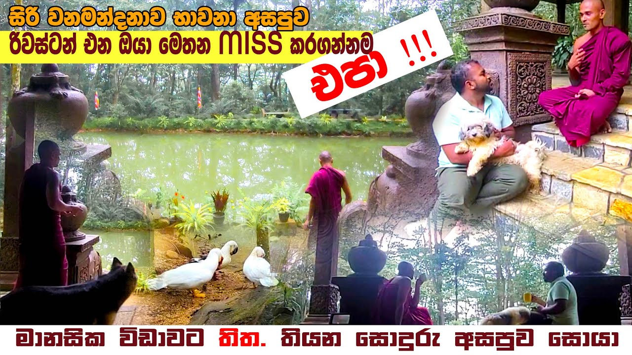 හැමෝම හොයන Riverston කැලේ මැද්දේ තියන අපූරු භාවනා අසපුව SIRIWANAMANDAWA ☸🌳 සියලු විස්තර සහිතව