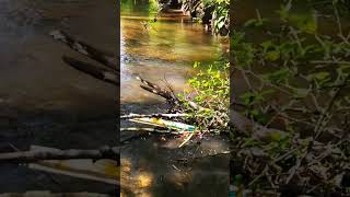 Pack it in and pack it out. #nature #adventure #shortvideo #shorts #shortsvideo #short #2024 #2025