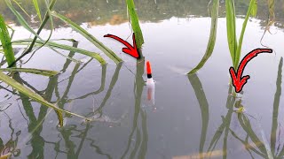 Nekat ... Mancing Di Sore Hari Ikan² Besar Ngumpul Di Pinggir..rejeki Mancing 