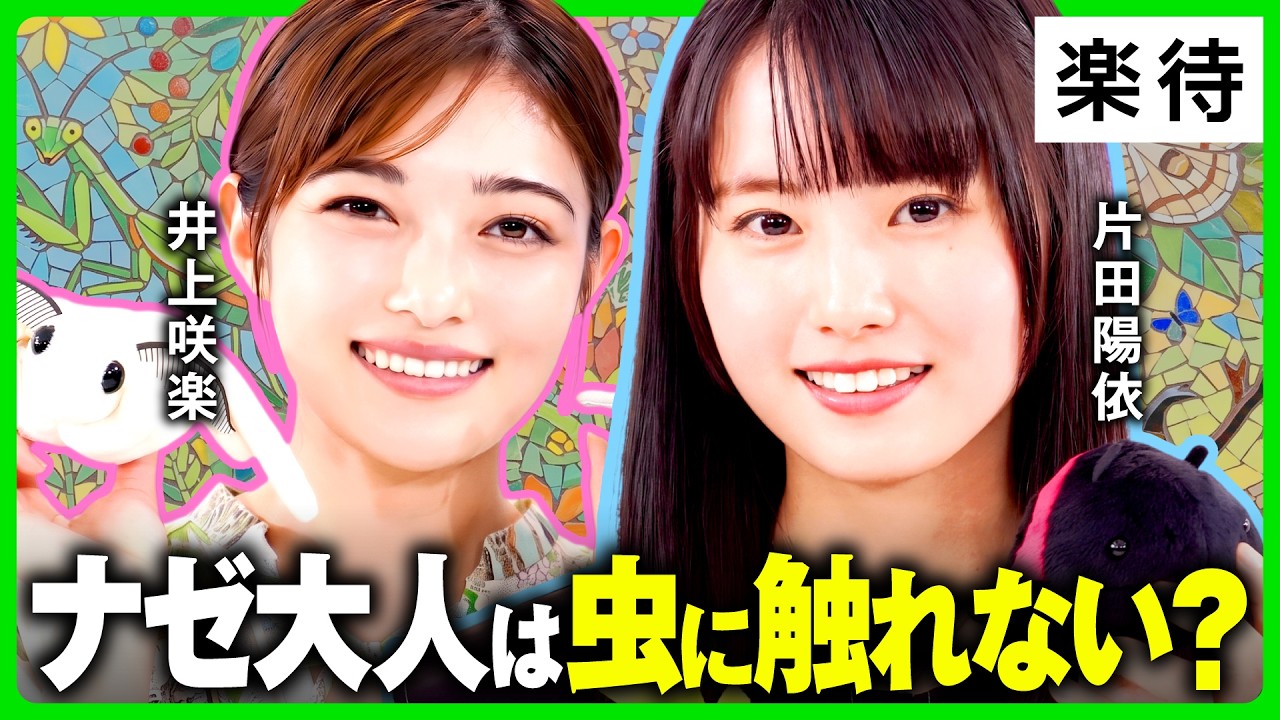【虫が苦手な人へ】目指せ克服！"1匹いたら100匹"は言いすぎ／ゴキブリは実は潔癖症／家に出るのはごく一部／浮気防止で夫婦が羽を食べ合う種も《虫プロデューサー・片田陽依×井上咲楽》