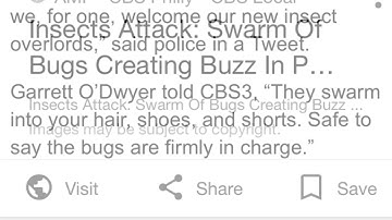 Insects Attack Swarm Of Bugs Creating Buzz In Philadelphia