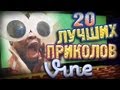 Лучшие Приколы Vine! (ВЫПУСК 41) [17+]