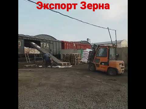 Экспорт Пшеница, Ячмень,