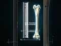 Your Bones Are Stronger Than Steel?! 🦴😳#shorts #bilogy #ytshorts