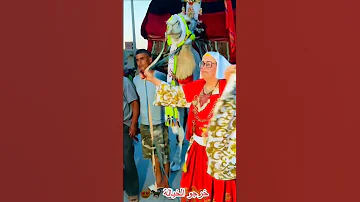 خرجو الخيالة Kharjou Elkhayala افراح الجنوب جنوبيات 