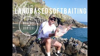 Landbased softbaiting | jigheads | colours | rod & reel combos | Moocher Hunters screenshot 4