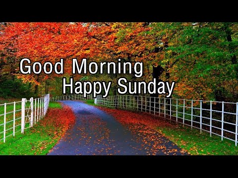 Happy Sunday Good Morning Wishes Quotes Whatsapp msg  happysunday images download  goodmorningstatus