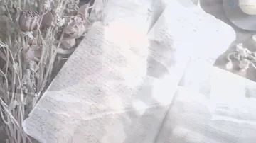 Come è morto Stefan?