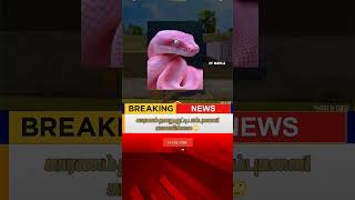 Ff Funny Snake Newsdont Miss It ffshorts viralnews freefireshorts