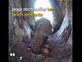 Il faut se battre pour ce qu'on veut garder