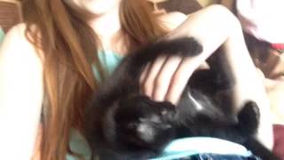 3 дня,деревня,котенок,поездка,праздник:) 3 дня,деревня,котенок,поездка,праздник:)