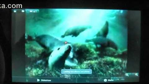 cTab T2 Demo: Multi-touch 10.1" Capacitive Screen,Android 2.2 Tablet Flash, 1GHz Tegra 2 CPU