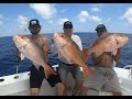 Scouting for 2023 Red Snapper Season Gulf of Mexico