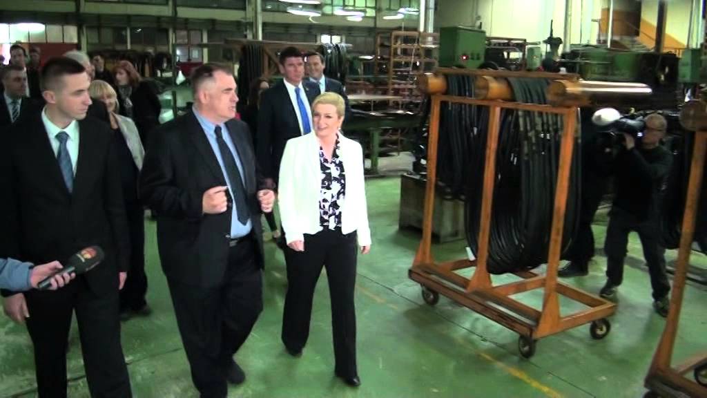 Gumix elastor borovo