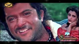 Tera Sath Hai Kitna Pyara (SONIC Jhankar)