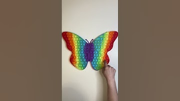 ASMR GIANT RAINBOW POP IT PUSH BUBBLE BUTTERFLY 🌈 🦋 #shorts