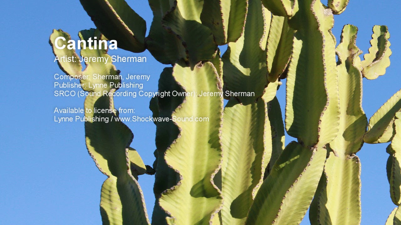 Watch Cantina - Jeremy Sherman (Lynne Publishing) on YouTube Watch Cantina - Jeremy Sherman (Lynne Publishing) on YouTube