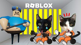 24 horas en la prision de Barry Roblox y escape jugando con gatitos Luna y Estrella Videos de gatos