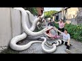 The brave young soldier confronts the giant snake in the abandoned house.