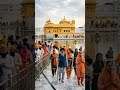 Shri Harmandar Sahib || Wahe Guru Ji #trendingshorts #goldentemple #harmandirsahib #punjabisong