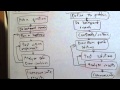 Bridging Scientific Method and Engineering Design Process